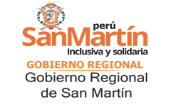 gobierno-regional-san-martin